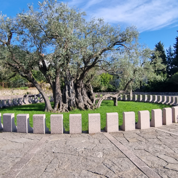 Ulcinj wieczorem – klimatyczne miejsca na spacer i zachód słońca nad Adriatykiem